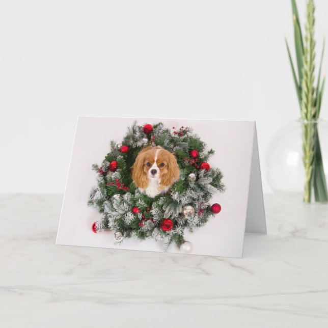 Carte Cavalier King Charles Couronne de Noël (Devant)