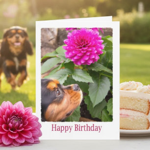 Carte Cavalier King Charles Dahlia Anniversaire