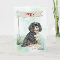 Cavalier King Charles Félicitations pour le nouvea
