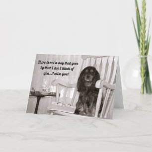 Carte Cavalier King Charles noir et feu Vous manque