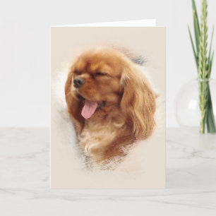 Carte Cavalier King Charles Spaniel