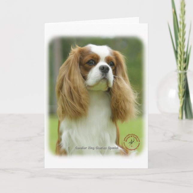 Carte Cavalier King Charles Spaniel 9F097D-08 (Devant)
