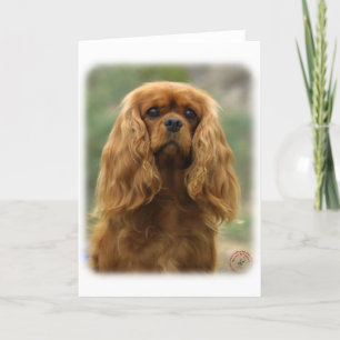 Carte Cavalier King Charles Spaniel 9F51D-10