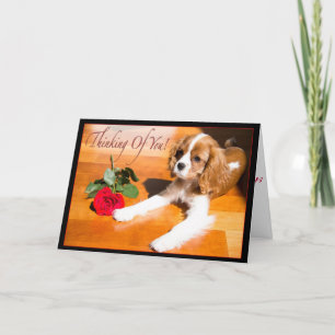 Carte Cavalier King Charles Spaniel chiot qui me manque