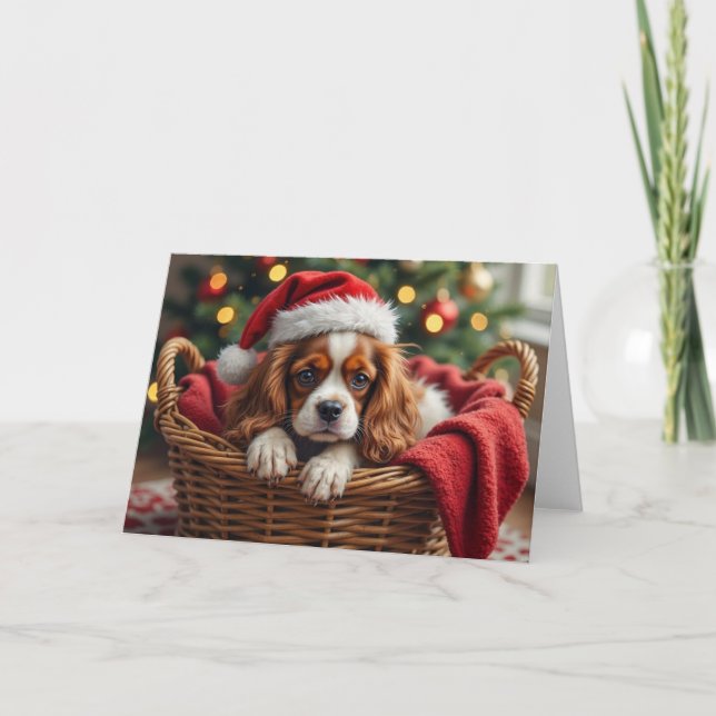 Carte Cavalier King Charles Spaniel Cozy Basket (Devant)