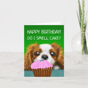 Carte Cavalier King Charles Spaniel "Est-ce que je sens 