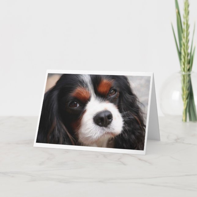 Carte Cavalier King Charles Spaniel Maman (Devant)