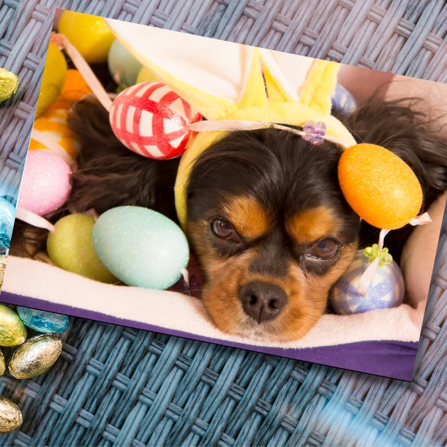 Carte Cavalier King Charles Spaniel Œufs de Pâques (Créateur téléchargé)