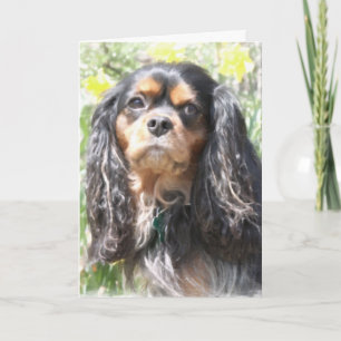 Carte Cavalier King Charles Spaniel peint