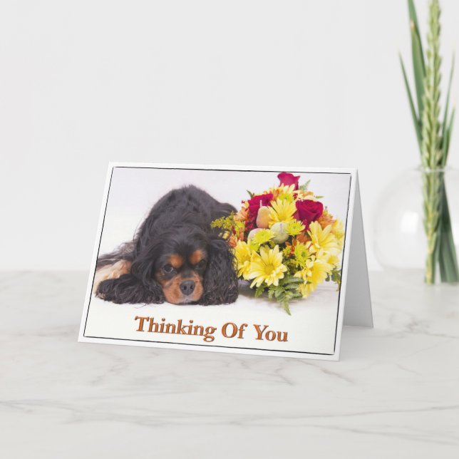 Carte Cavalier King Charles Spaniel 'Pensée pour t (Devant)