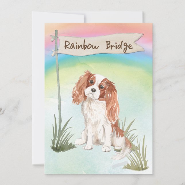 Carte Cavalier King Charles Spaniel Pet Sympathie (Devant)