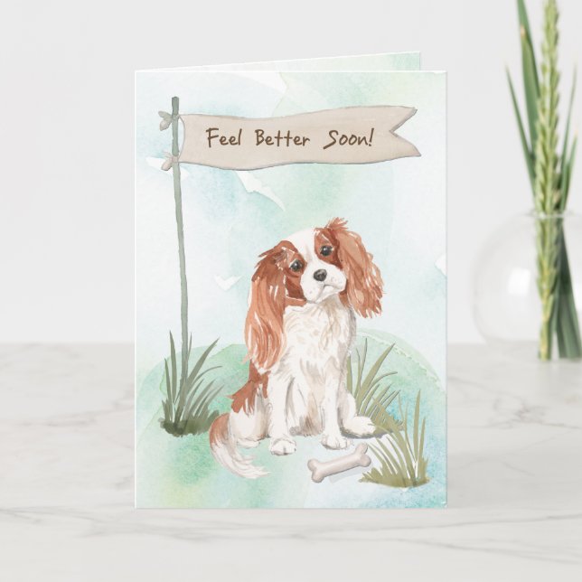 Carte Cavalier King Charles Spaniel se sentent mieux ave (Devant)