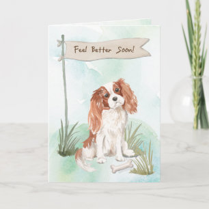Carte Cavalier King Charles Spaniel se sentent mieux ave
