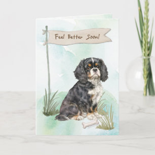 Carte Cavalier King Charles Spaniel Sentez-Vous Mieux Ch