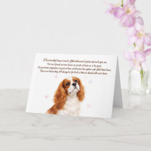 Carte Cavalier King Charles Spaniel Sympathie Chien