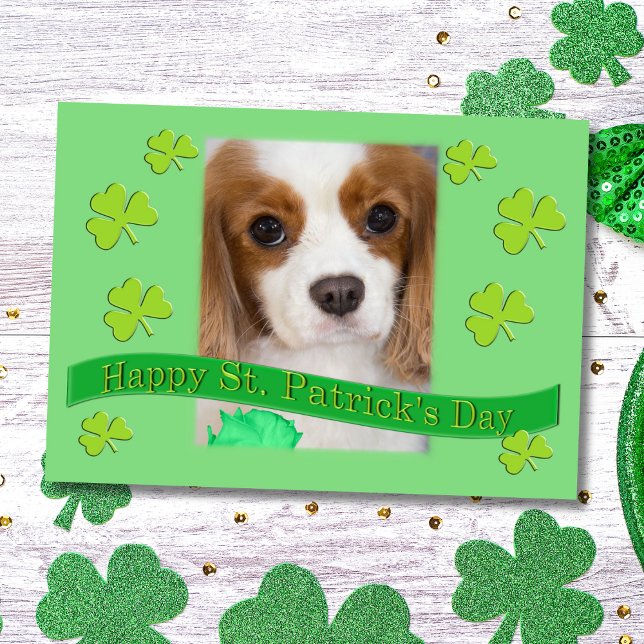 Carte Cavalier King Charles Spaniels Saint-Patrick (Créateur téléchargé)