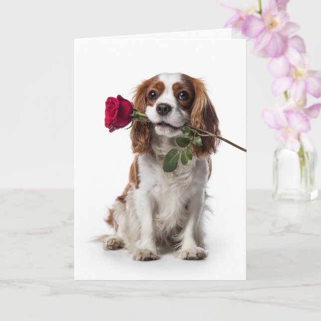 Carte Cavalier King Charles Valentine – Amour tendre (Orchidée)