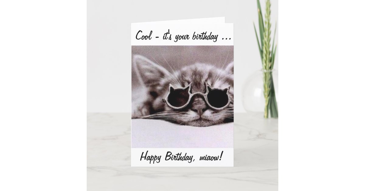 Carte Ce Chat Cool Vous Souhaite Un Joyeux Anniversaire Zazzle Fr