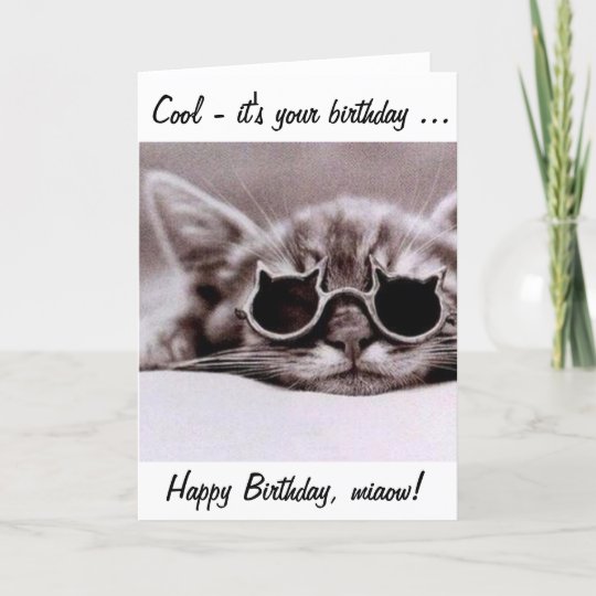 Carte Ce Chat Frais Vous Souhaite Un Joyeux Anniversaire Zazzle Fr