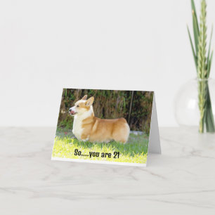 CARTE CE CORGIE SAIT POURQUOI TU ES HEUREUX À 21 ANS
