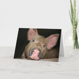 Carte Ce petit cochon dit Désolé