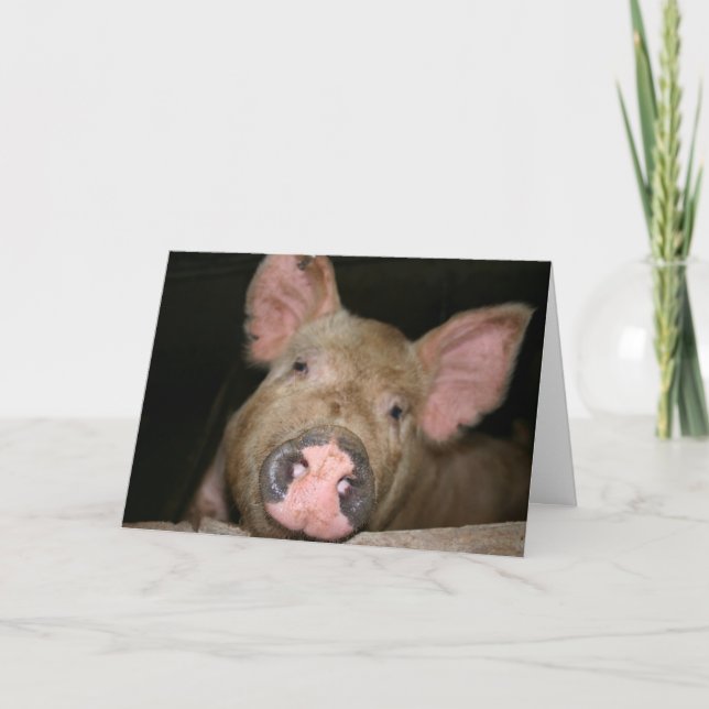 Carte Ce petit cochon dit Remets-toi (Devant)