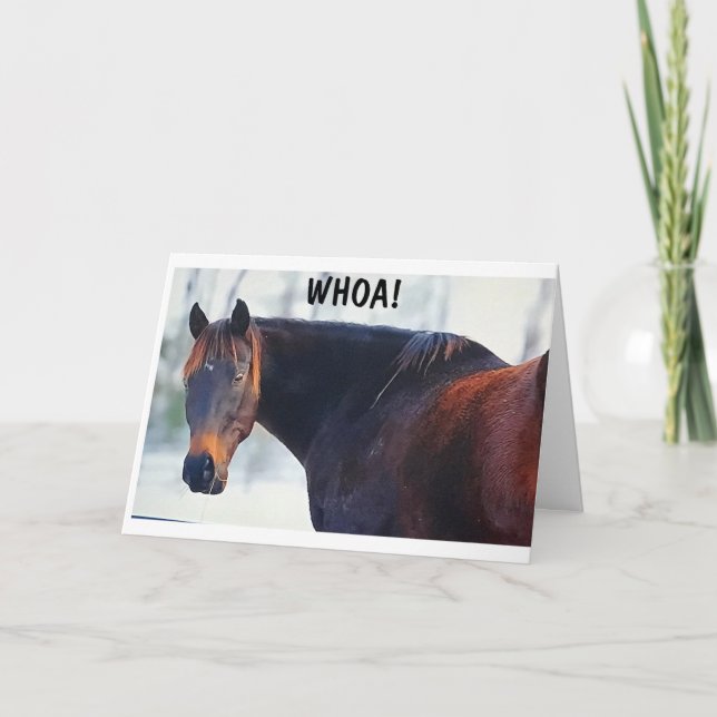 CARTE CE QUE DIT CE COOL HORSE & *FÉLICITATIONS AUSSI* (Devant)