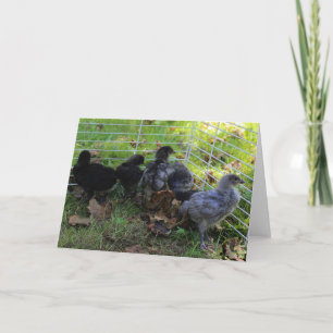 Carte Ce qui est - bout de poulet