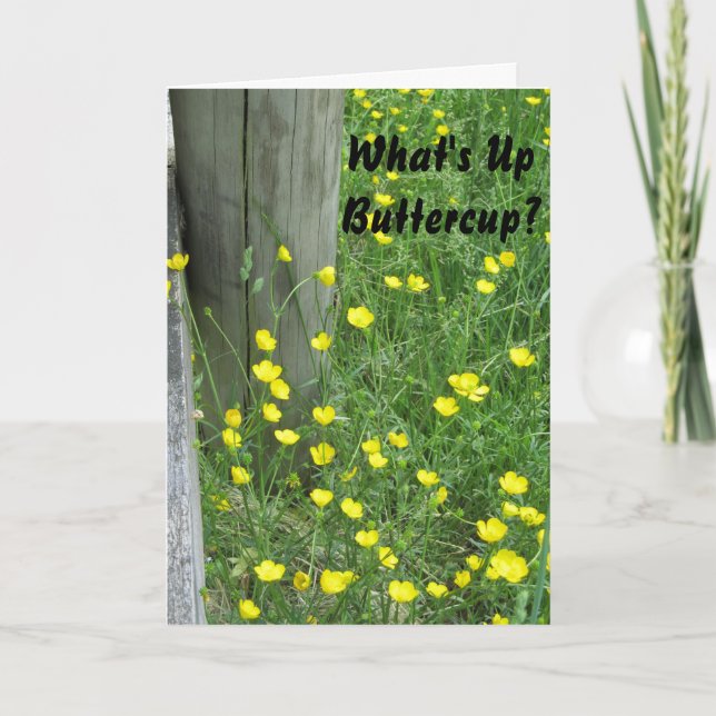 Carte Ce qui est vers le haut de Renoncule-Été Missin (Devant)