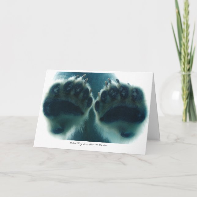 Carte Ce qu'ils ont vu sous la glace (Devant)