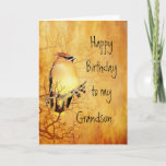 Carte Cedar Waxwing Bird Best Grandson Birthday<br><div class="desc">Copper Cedar Waxwing Bird l Birthday for your Grandson</div>