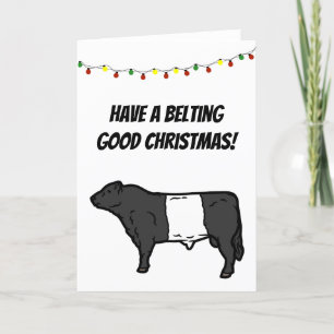 Carte Ceinture Bon Noël Ceinturé Galloway Beltie Cow