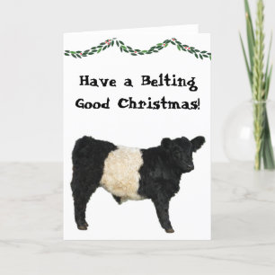 Carte Ceinture Bon Noël Ceinturé Galloway Beltie Cow