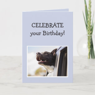 Carte Célébrez Votre Anniversaire Amusant Happy Dog Car