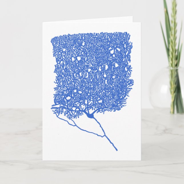 Carte Cellule Purkinje (Devant)