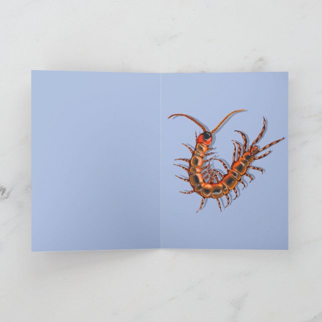 Carte Centipede  (Intérieur)