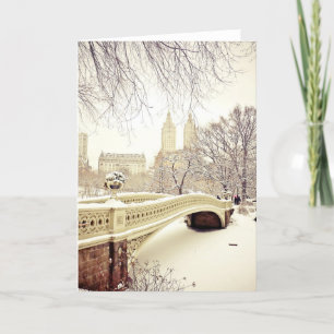 Carte Central Park Neige - Hiver New York