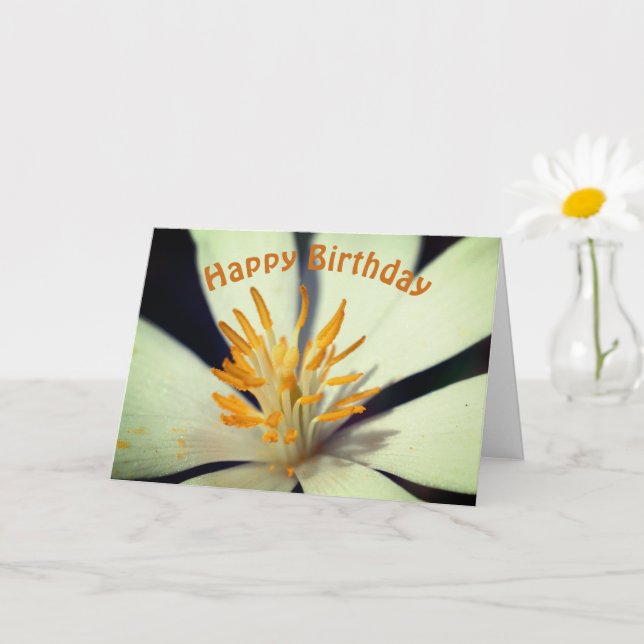 Carte Centre de fleurs de racines de sang Anniversaire (Petite plante)