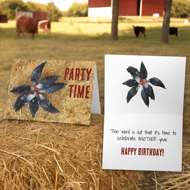 Carte Cercle de poulets noirs et blancs mangeant de la p (custom greeting card front and inside)