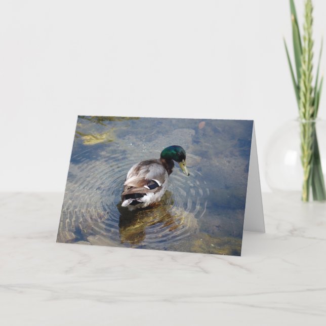 Carte Cercles de canard (Devant)