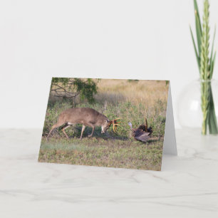Carte Cerf à queue blanche combattant un dindon sauvage