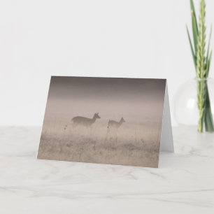Carte Cerf à queue blanche - Matinée d'hiver calme