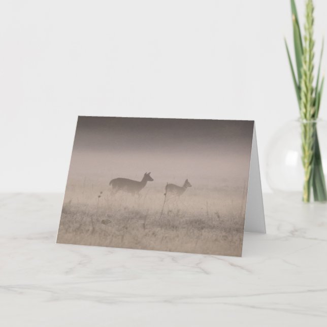 Carte Cerf à queue blanche - Matinée d'hiver calme  (Devant)