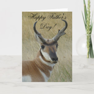 Carte Cerf antilope A21