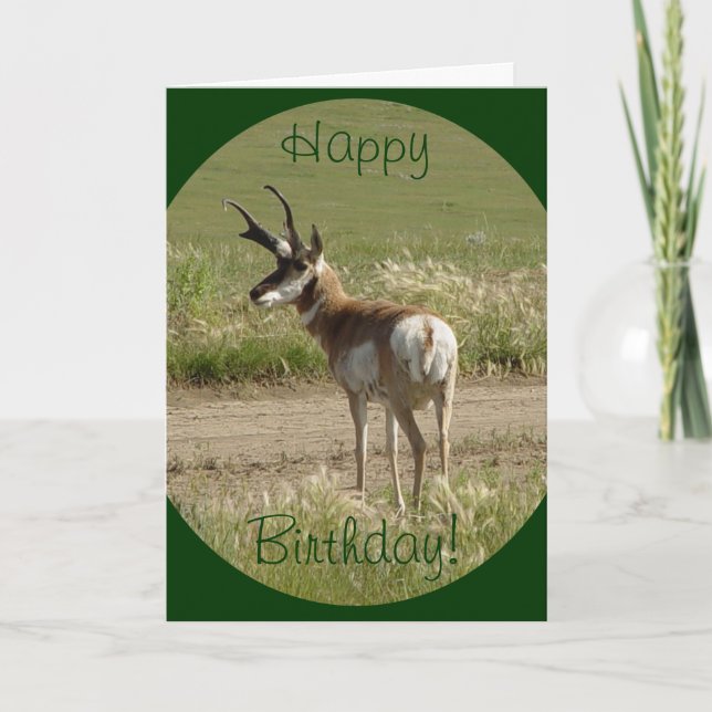 Carte Cerf antilope A39 (Devant)