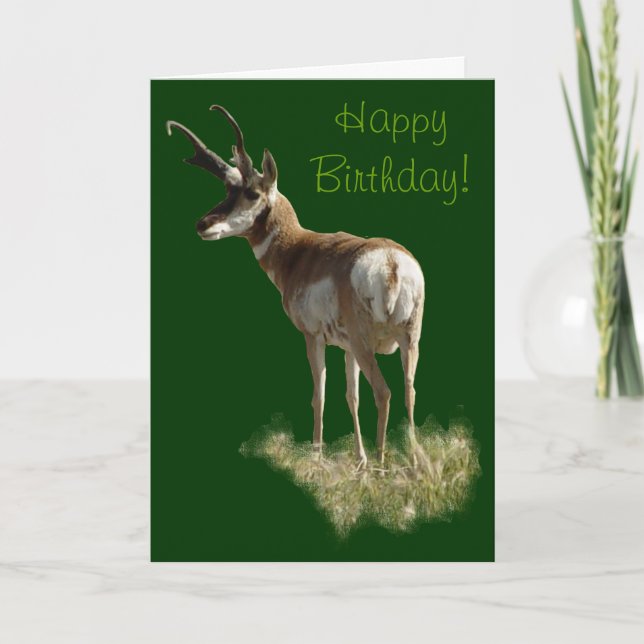 Carte Cerf antilope A43 (Devant)