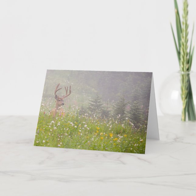 Carte Cerf Buck | Parc national du mont Rainier (Devant)