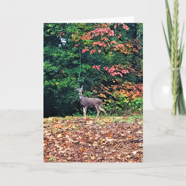 Carte Cerf dans la forêt, Oregon (Devant)
