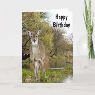 Carte Cerf de Virginie au Ruisseau Joyeux Anniversaire p