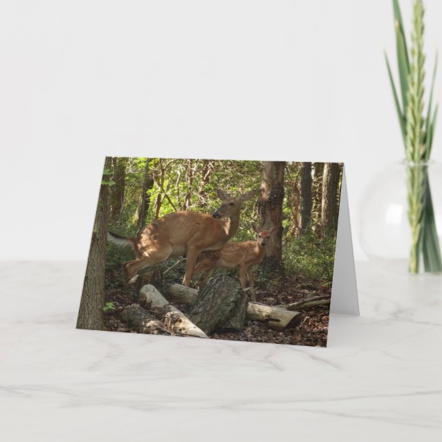 Carte Cerf et Biche au Parc National de Shenandoah (Devant)